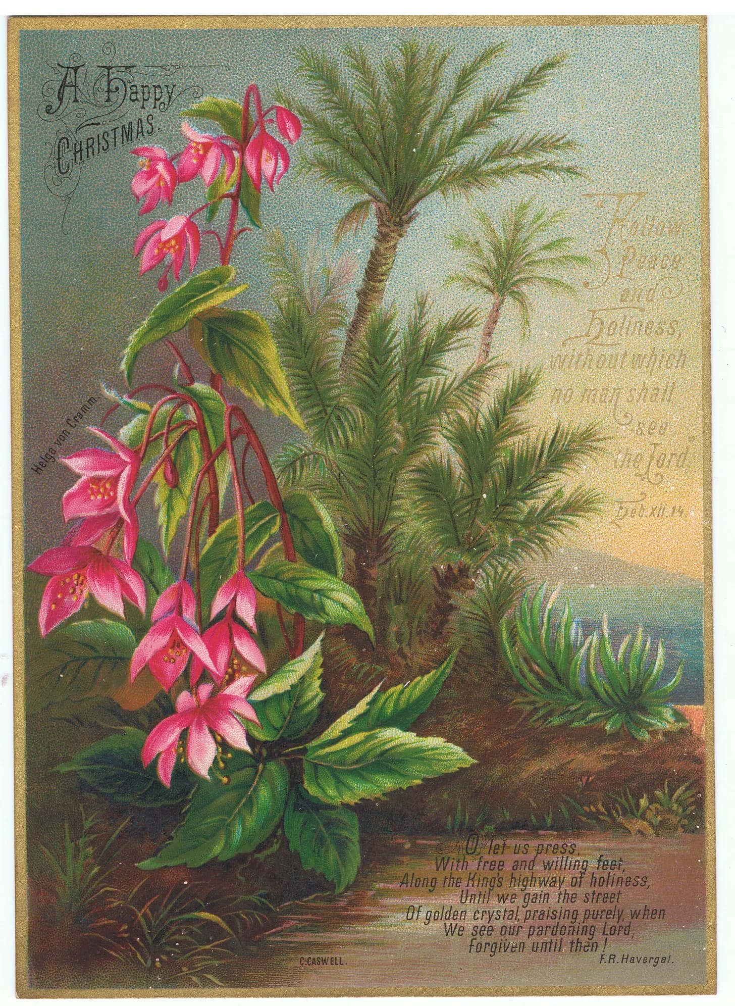 Antique Christmas greeting card decorated with pink fuchsias and evergreen branches.